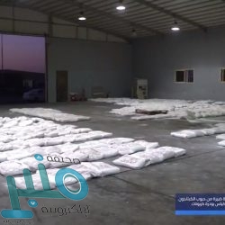 “السعودية الخضراء”.. 10 مليارات شجرة تتصدّى للتصحر والتغيُّر المناخي