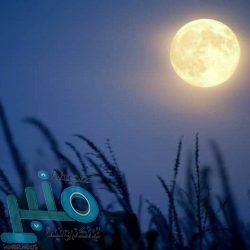 وزير العدل يوجه بتمكين المحامين من دخول عموم المحاكم