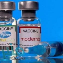 ملوحة التربة وضررها على الزراعة