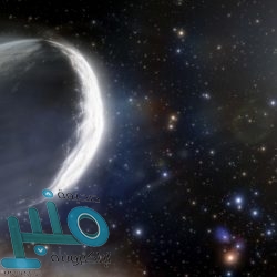 ترتيب الدوري الإنجليزي.. تشيلسي يسقط ساوثهامبتون ويرتقي للصدارة.. وإيفرتون يحبط مانشستر يونايتد