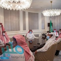 التحالف: تدمير طائرتين مسيرتين مجهزتين لتنفيذ عمل عدائي وشيك ضد المملكة