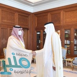 وزير الطاقة : قلة الاستثمارات يضر بسوق الغاز الطبيعي