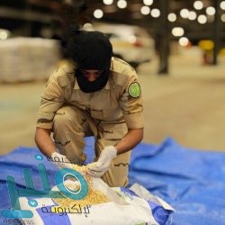 وزارة التعليم تشارك الجهود الوطنية في التوعية بسرطان الثدي