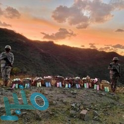 القافلة الإرشادية الزراعية تنطلق الخميس بمنطقة مكة المكرمة