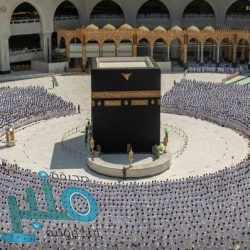 التحالف: تدمير 11 آلية عسكرية وخسائر بشرية تجاوزت 92 عنصراً حوثياً في الجوبة والكسارة