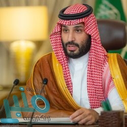 وزير الطاقة: نخطط للمزيد من تقليل الانبعاثات الكربونية