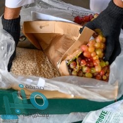 “مجلس الوزراء” يعقد جلسته “عبر الاتصال المرئي” .. ويصدر عددًا من القرارات