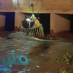 المملكة تُطلق النسخة الثالثة من “كأس السعودية” أغلى سباقات الخيل في العالم