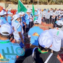 قطاع السيارات يتلقى ضربة جديدة بتفاقم أزمة أشباه الموصلات حتى 2022