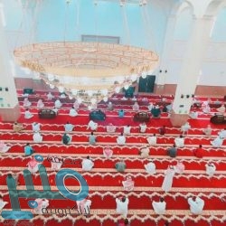 هل قررت سامسونغ تجاهل إصدار Galaxy S21 FE لحساب سلسلة S22 ؟