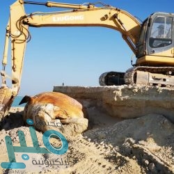 مبادرة “فينًا خير” تكرم معلمي ومعلمات معهد العاصمة النموذجي