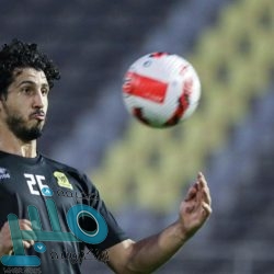 إبراهيموفيتش يقود ميلان للفوز على بولونيا وصدارة ترتيب الدوري الإيطالي