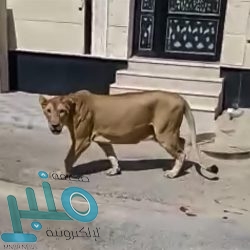 القصبي يرأس وفد المملكة المشارك في اجتماع وزراء التجارة والاستثمار لدول مجموعة العشرين في إيطاليا