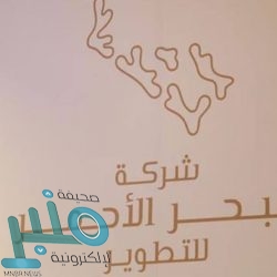 الأرصاد: هطول أمطار رعدية مصحوبة برياح نشطة على هذه المناطق