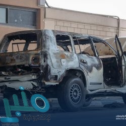 غسل وتعقيم وتعطير “1500” سجادة بالمسجد الحرام أسبوعياً