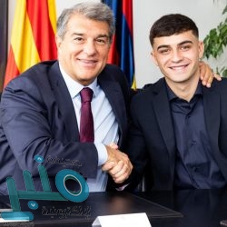 نيوكاسل يحسم موقفه من إقالة ستيف بروس قبل مباراة توتنهام