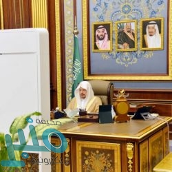 الديوان الملكي: خادم الحرمين الشريفين يرأس وفد المملكة في قمة قادة مجموعة العشرين