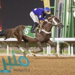 “الزكاة والجمارك” تعلن إقامة مزاد لبيع بضائع منوعة بجمرك ميناء الملك عبدالعزيز