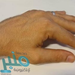 زفيريف يهزم جوكوفيتش ويواجه ميدفيديف بنهائي بطولة باركليز