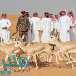 شرطة القصيم: القبض على مواطن أتلف مركبة آخر بإشعال النار فيها