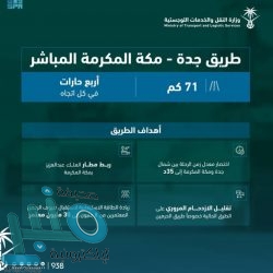 ضبط 5 مخالفين لنظام البيئة لاستخدامهم حطبًا محليًا في أنشطة تجارية بعسير