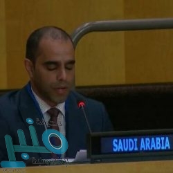 المملكة تتبرع بـ(50) ألف يورو لمنظمة حظر الأسلحة الكيميائية