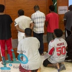 شرطة نجران: القبض على مواطن لإطلاقه النار معرضًا حياته وحياة الآخرين للخطر