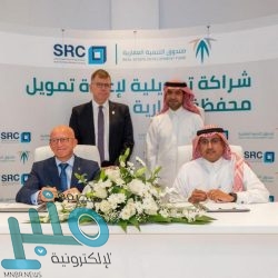 التحالف: تدمير موقعين للصواريخ الباليستية بمحافظتي صعدة وعمران