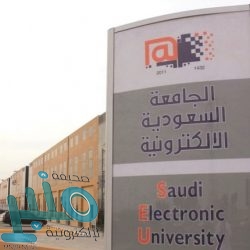 القبض على (9) أشخاص بحوزتهم (391) كيلو جرامًا من مادة الحشيش المخدر