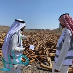 المرور يبدأ في تطبيق مخالفات عدم إركاب الأطفال في المقعد المخصص