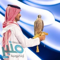 محاكم ديوان المظالم تنجز أكثر من 30 ألف دعوى