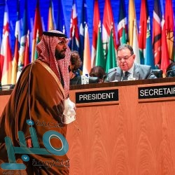 7 آلاف طالب وطالبة في الصف الخامس الابتدائي ينهون اختبارات PIRLS للفهم القرائي