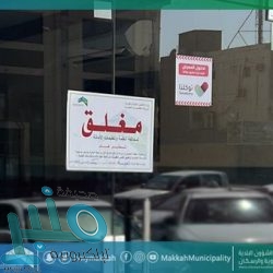 “الحبوب” تنتهي من ترسية الدفعة السادسة من القمح المستورد هذا العام