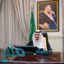 الهيئة العامة للإعلام المرئي والمسموع تبحث تطوير قطاع السينما مع كبرى الشركات العالمية