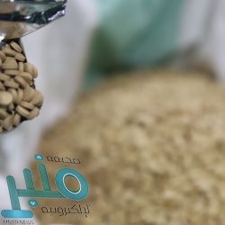 بـ 10 مليارات ريال .. “الصندوق العقاري” و”السعودية لإعادة التمويل العقاري” يوقعان اتفاقية تمويلية