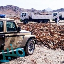 أمانة العاصمة المقدسة تغلق 7 منشآت مخالفة