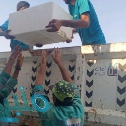 القيادة الكويتية تهنئ خادم الحرمين الشريفين بالذكرى السابعة لتوليه مقاليد الحكم