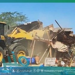 محاكم ديوان المظالم تنجز أكثر من 30 ألف دعوى