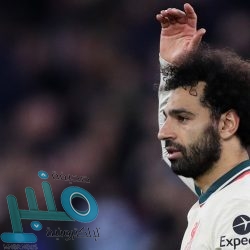 بعد الفشل في الصعود لمونديال 2018.. فان غال يثق في تأهل هولندا لكأس العالم 2020