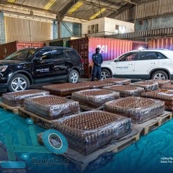 الهيئة العامة للعقار تضبط 7421 إعلانًا مخالفًا وتُصدر 5494 تفويضًا عقاريًا