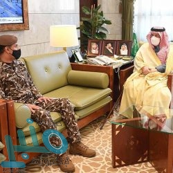 صديقة للبيئة وآمنة.. تعرف على بديل التوك توك في مصر