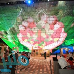 سامح شكري: الاجتماع التشاوري لوزراء الخارجية العرب جاء بثمار جيدة للعمل العربي