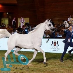 “السديس”: يوم التأسيس يعكس العمق الحضاري ويحمل دلالات تاريخية