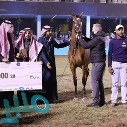 الهولندي نِك دي فريز بطلاً لأولى جولات فورمولا إي الدرعية 2022