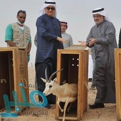 الخارجية تدين بشدة الهجوم الإرهابي الذي استهدف مطار بغداد الدولي