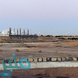 المملكة تدين بشدة محاولات مليشيا الحوثي الإرهابية استهداف الأعيان المدنية في الإمارات