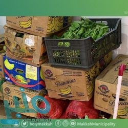 “الصحة”: تسجيل 4738 إصابة جديدة بفيروس كورونا .. و 4973 حالة تعافي