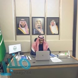 القبض على مقيم بحوزته (220) كيلوجرامًا من نبات القات المخدر في جازان