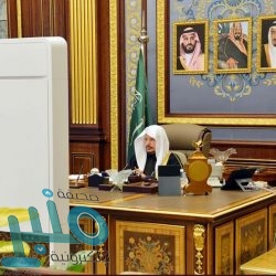 المملكة تدين بشدة محاولات مليشيا الحوثي الإرهابية استهداف الأعيان المدنية في الإمارات