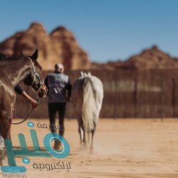 سمو أمير منطقة الباحة: يوم التأسيس هو يوم اعتزاز بالتاريخ العريق للدولة السعودية